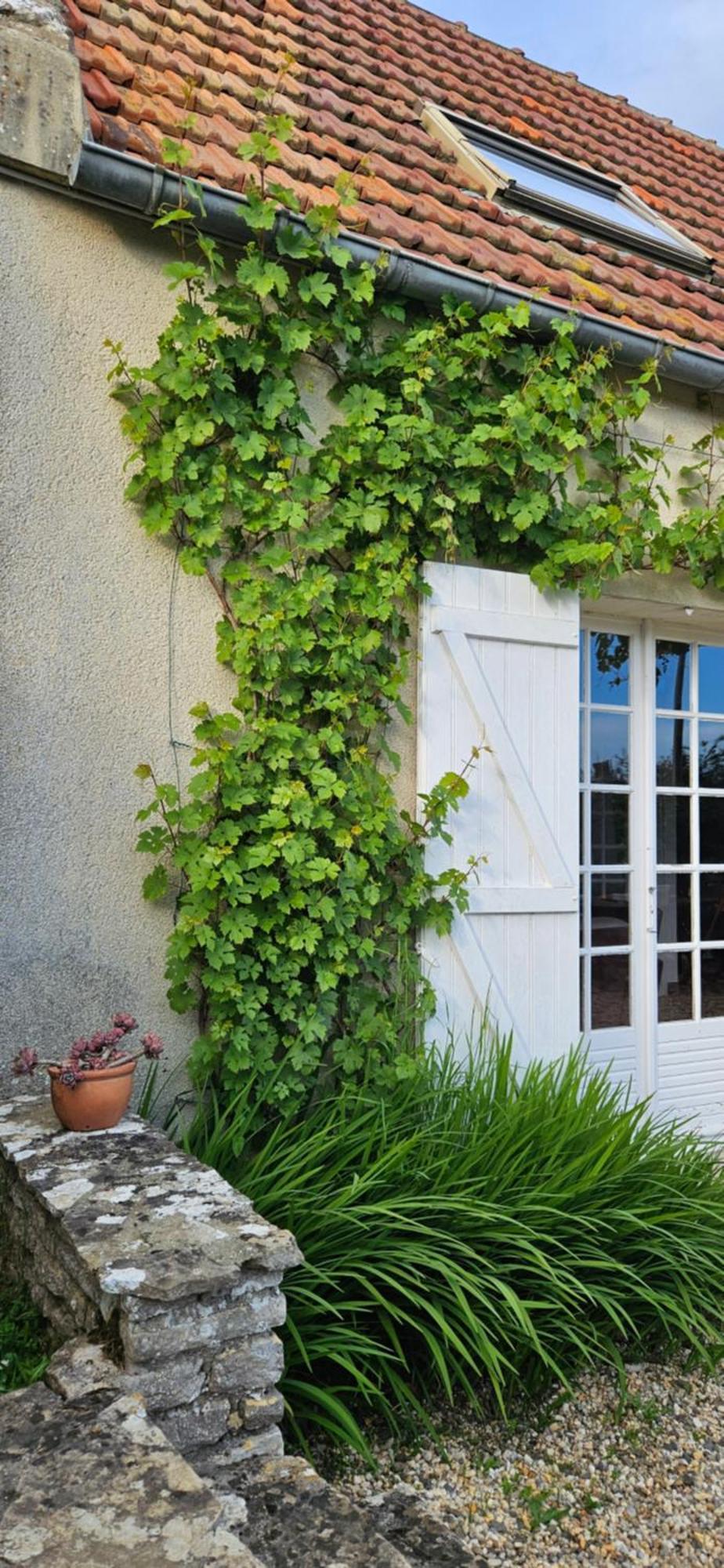 Saint-Côme-de-Fresné La Petite Chouetteヴィラ エクステリア 写真